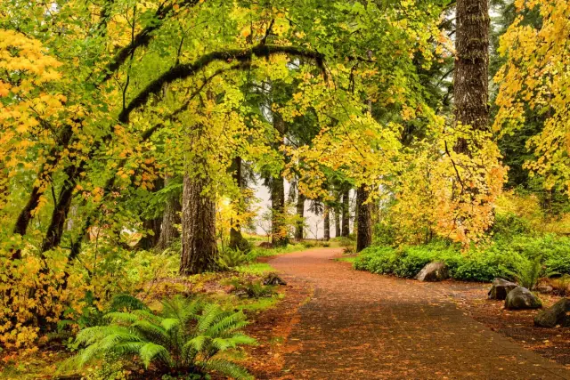 South Portland, Oregon